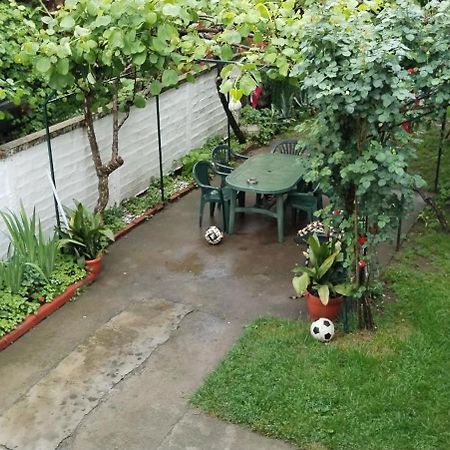 Eko Vlasina Vlasotince Ngoại thất bức ảnh
